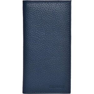 Leather Standard Register Checkbook Case  Azure